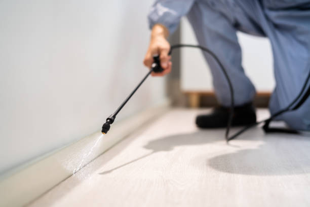 Licensed Pest Control service in Farmington, PA - Show Me Pest Control