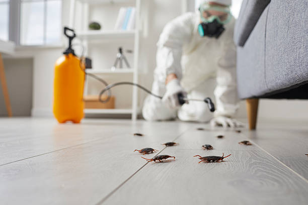 Commercial Kitchen Cockroach Control in Farmington